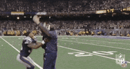 New England Patriots Football GIF by NFL