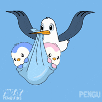 Baby Boy GIF by Pudgy Penguins