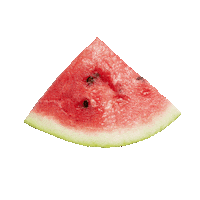 Fruit Watermelon Sticker by TROJKA Vodka