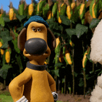Oh No What GIF by Aardman Animations