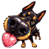 Fun Love Sticker by abana a cauda