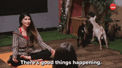 Yoga Goats GIF by BuzzFeed