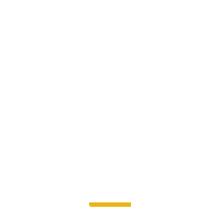 lionsclubs vision lions sight volunteer Sticker
