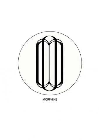 Mc GIF by MORPHINE