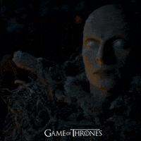 the watchers on the wall hbo GIF by Game of Thrones