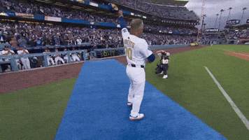 Los Angeles Dodgers Sport GIF by MLB