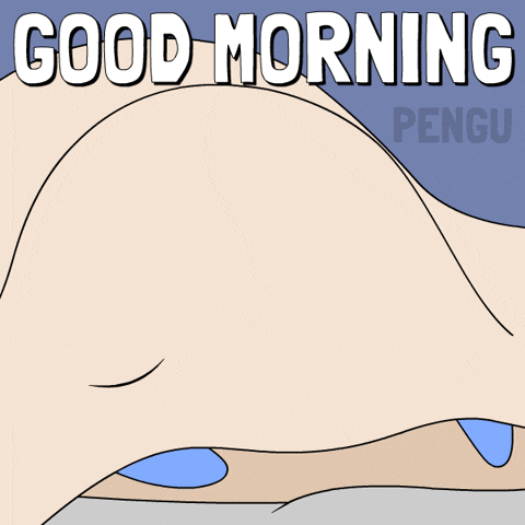 Sleepy Good Morning GIF by Pudgy Penguins