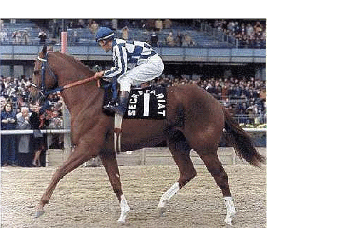 horse racing GIF