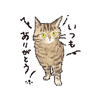 Cat ねこ Sticker