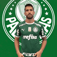Palmeiras soccer futebol vamos palmeiras GIF
