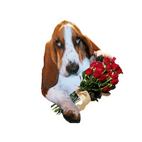 I Love You Hearts Sticker