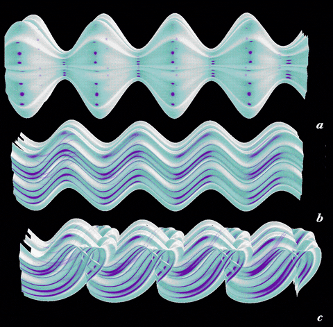 amtggg sinus shapes wave geometrie GIF by A.M.T.G. G.G.