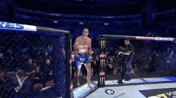 Sport Mma GIF by UFC