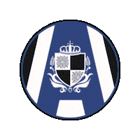 Azr Sticker by AZZURRE