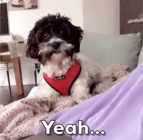 Um GIF by Chrisanthy Stotis