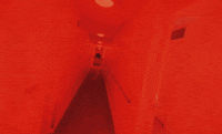 elena tonra GIF by Daughter