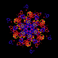 Loop Orange GIF by xponentialdesign