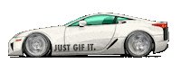 Car Racing Sticker