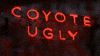 coyote ugly film GIF