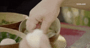 viceland GIF by HUANG'S WORLD