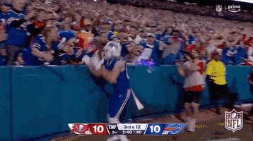 Happy National Football League GIF by NFL