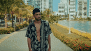Happy Fashion GIF by @VidMusic