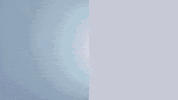 Pitt Ucm GIF by University of Pittsburgh