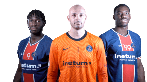 France Sport Sticker by Paris Saint-Germain Handball