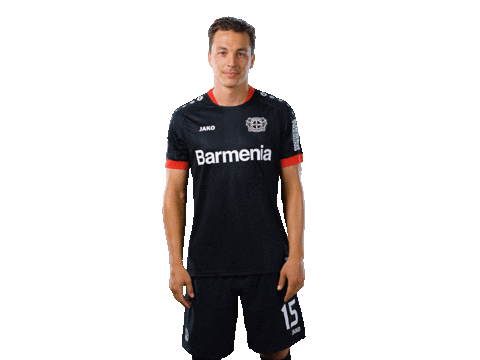 Bayer 04 Werkself Sticker by Bayer 04 Leverkusen
