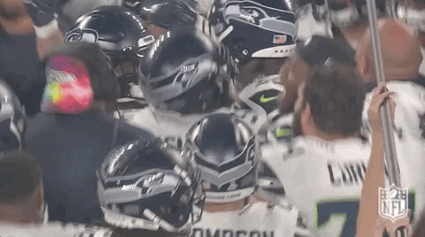 National Football League GIF by NFL