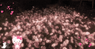 Forever Love Flowers GIF