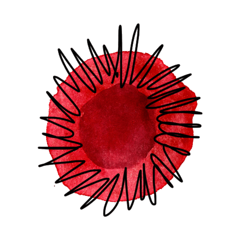 LaColectiva giphyupload flowers fyja fyjapolancoenflores Sticker