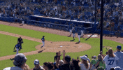 Happy Blue Jays GIF by Toronto Blue Jays
