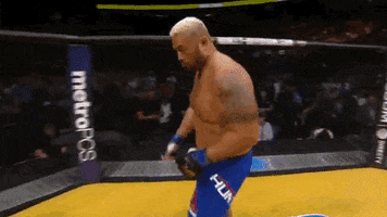 brock lesnar ufc GIF