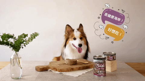 wpet giphyupload GIF