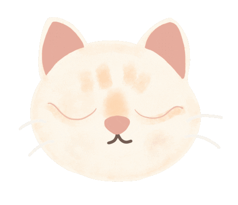 Justin_20190315 giphyupload justin 貓 貓咪 Sticker