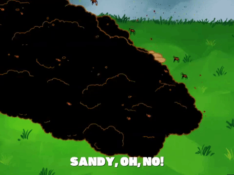 season 5 episode 10 GIF by SpongeBob SquarePants