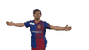 Goal Cheer Sticker by FC Basel 1893