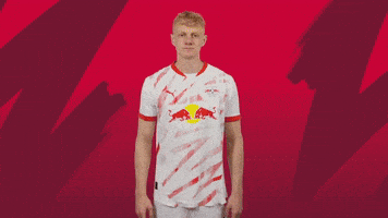 Sport Brush Off GIF by RB Leipzig