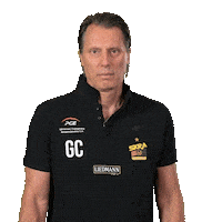 Volleyball Gianni Sticker by PGE GiEK Skra Bełchatów