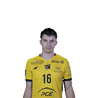 Power Volleyball Sticker by PGE GiEK Skra Bełchatów