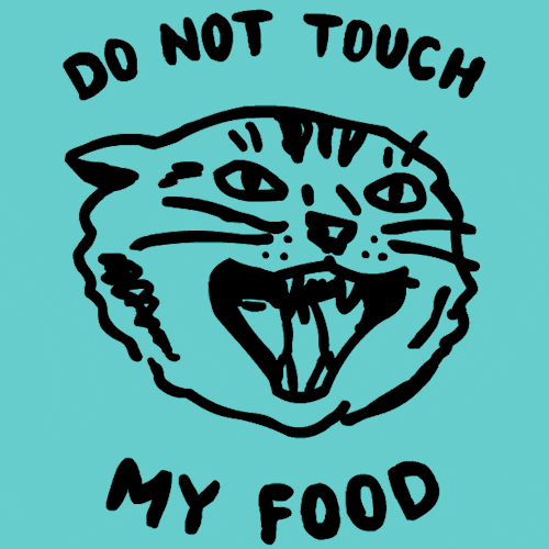 hungry cat GIF by Look Human