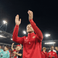 Football Rts GIF by Widzew Łódź