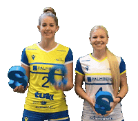 SSCPalmberg_Schwerin volleyball ssc schwerin sscpalmbergschwerin Sticker