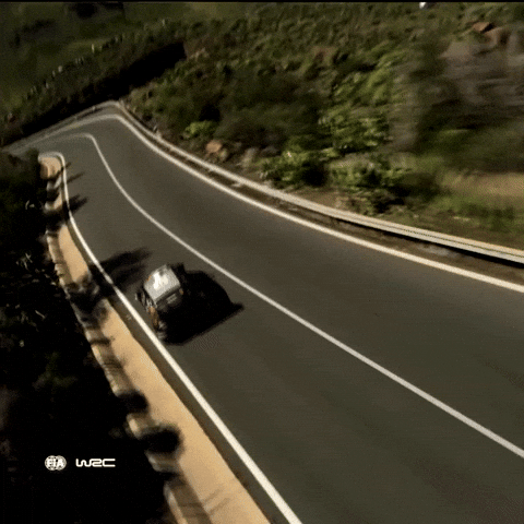 Islas Canarias Racing GIF by FIA World Rally Championship