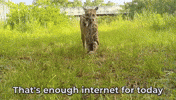 Too Much Mom GIF by U.S. Fish and Wildlife Service