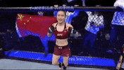 ufc 235 sport GIF by UFC