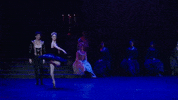 Swanlake GIF by English National Ballet