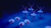 Swanlake GIF by English National Ballet