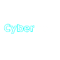 Comprasparaguai Cyberday Sticker by Nissei